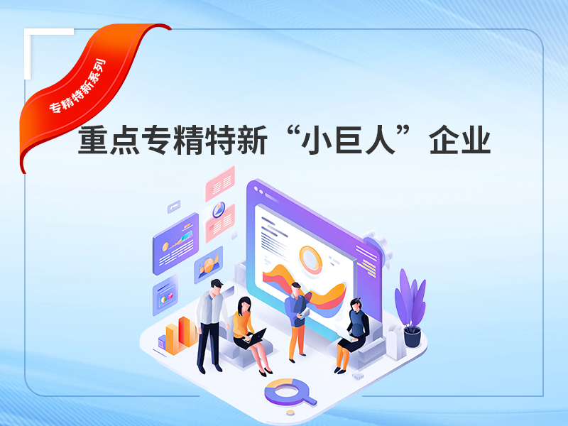 重点专精特新“小巨人”企业