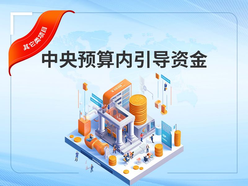 中央预算内引导资金